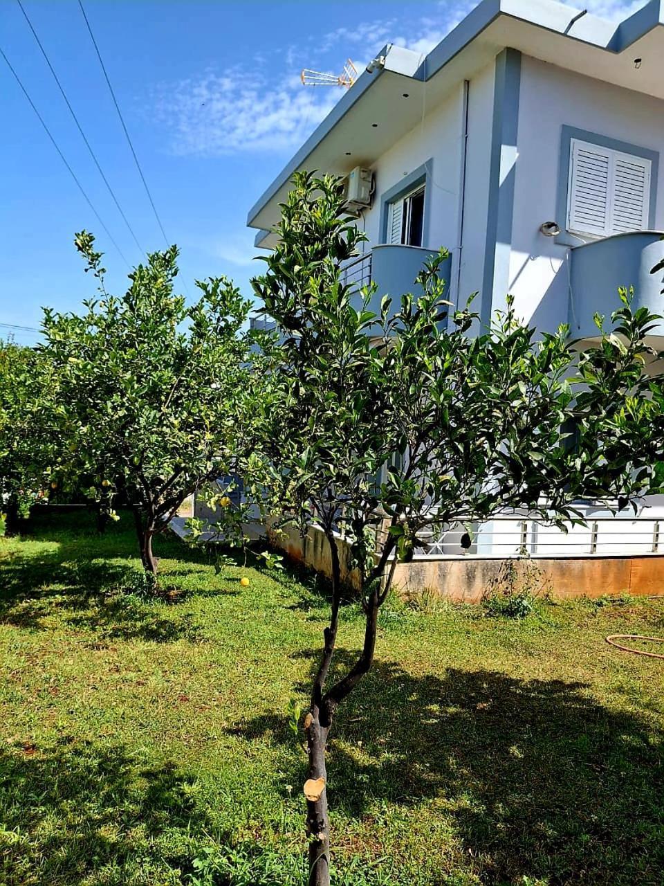 Myksamil Apartments Dış mekan fotoğraf