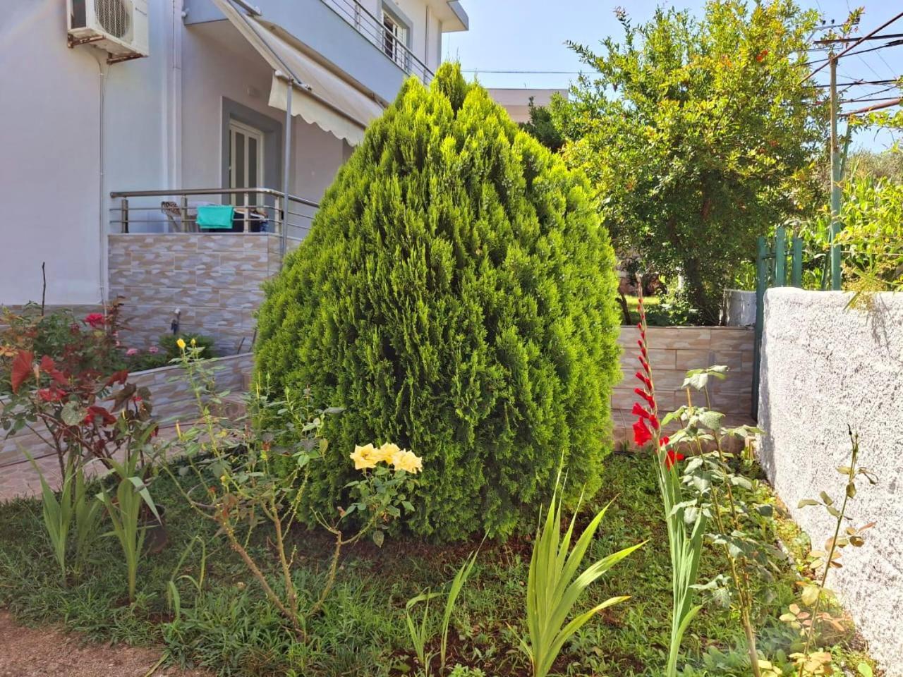 Myksamil Apartments Dış mekan fotoğraf